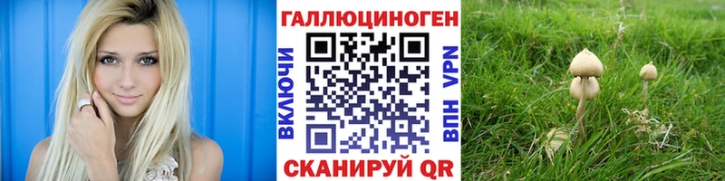 Купить  Суворов  Галлюциногенные грибы GOLDEN TEACHER 