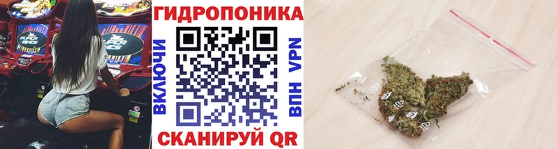 Канабис план  Купить где  Суворов 
